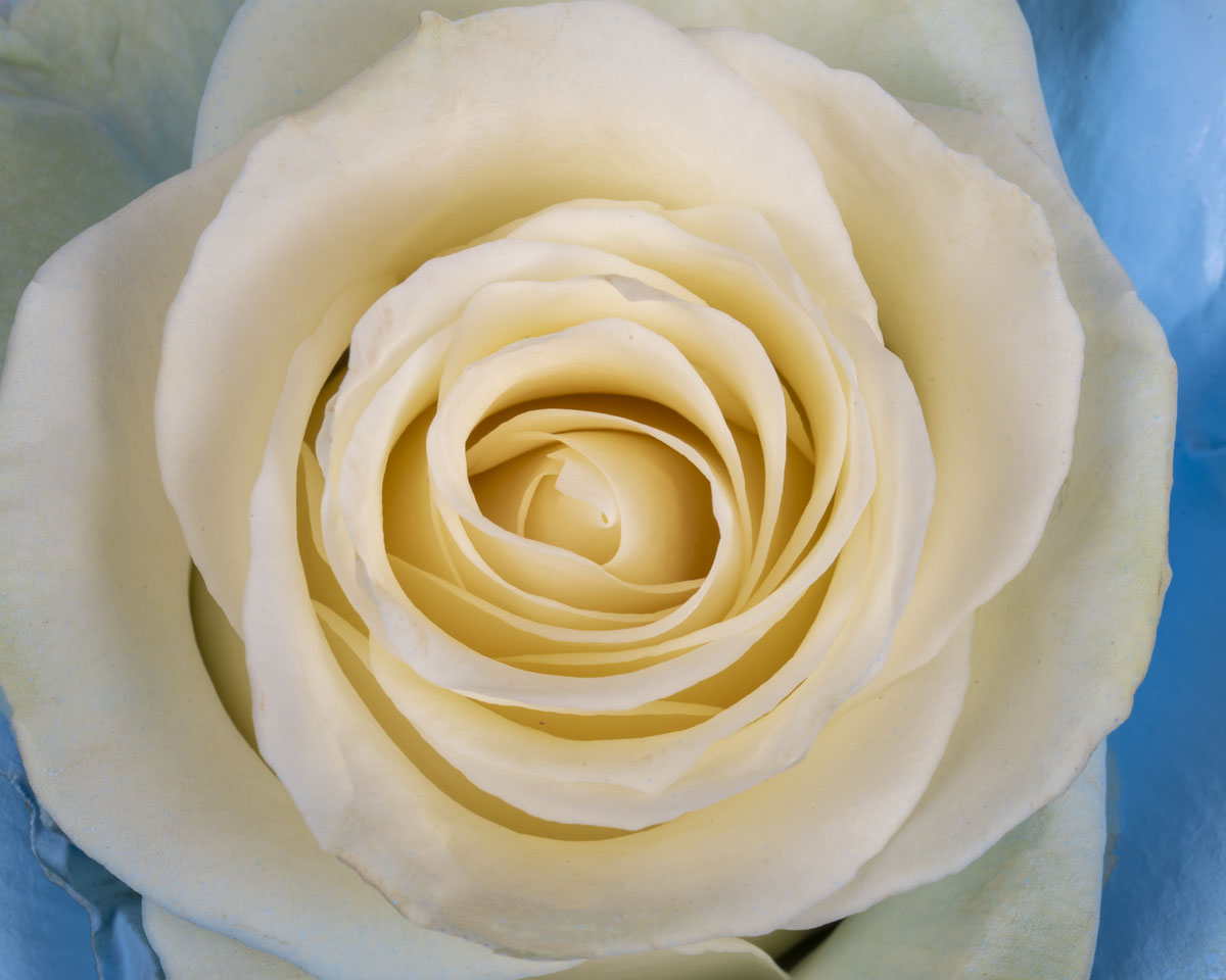 Aqua White detail